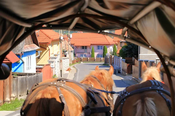 Cheval Tire Une Remorque Traditionnelle Bois Dans Campagne Nord Roumanie — Photo