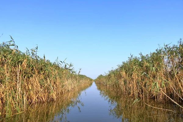 Pequeño Canal Fluvial Delta Del Danubio —  Fotos de Stock