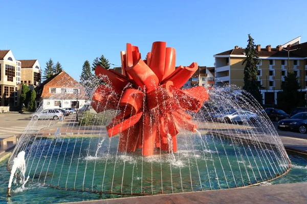 Paisagem Pacífica Com Fonte Transilvânia Flor Bistrita Bistritz Roménia — Fotografia de Stock