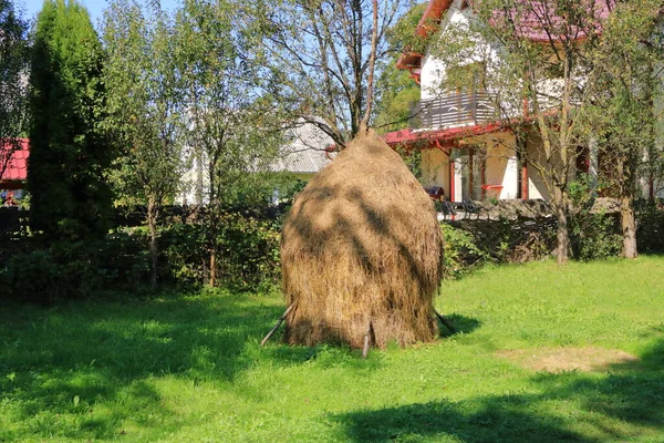 Haystacks Nas Montanhas Roménia — Fotografia de Stock