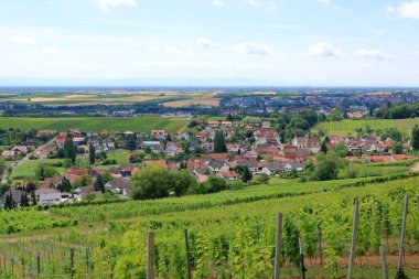 Üzüm bağlarından Pleisweiler 'a Alman şaraplarının damak tadına baktığı yere.