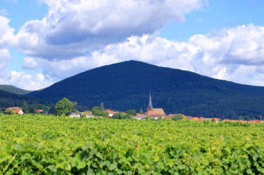 Rhodt, Rietburg, Hainfeld, Burrweiler, Weyher, Edenkoben, Edesheim köylerinin etrafındaki üzüm bağlarının manzarası.