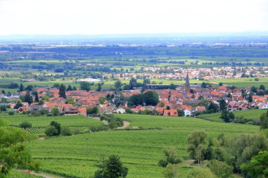 Rhodt, Rietburg, Hainfeld, Burrweiler, Weyher, Edenkoben, Edesheim köylerinin etrafındaki üzüm bağlarının manzarası.