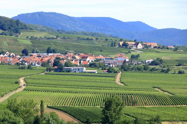 Vista Das Vinhas Para Klingenmuenster Rota Vinho Alemão Palatinado — Fotografia de Stock