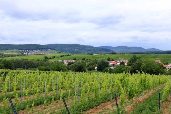 Vista Das Vinhas Para Uma Pequena Aldeia Rota Vinho Alemão — Fotografia de Stock