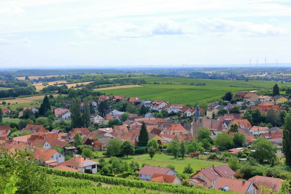 Uitzicht Van Wijngaarden Naar Pleisweiler Duitse Wijnroute Palts — Stockfoto