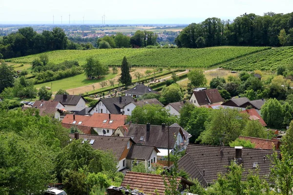 Widok Winnic Pleisweiler Niemieckiej Trasie Wina Podniebieniu — Zdjęcie stockowe
