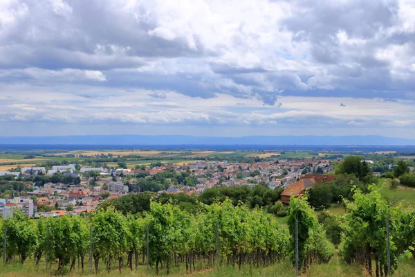 Vista Das Vinhas Para Berg Badzabern Rota Vinho Alemão Palatinado — Fotografia de Stock
