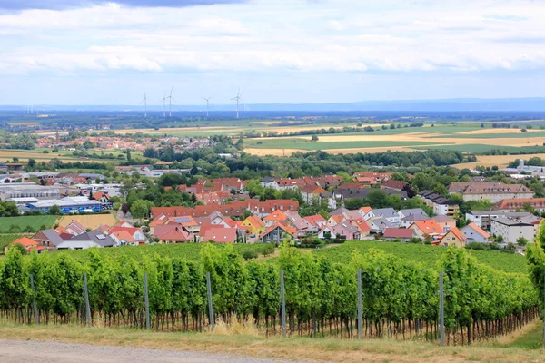 Uitzicht Van Wijngaarden Naar Berg Badzabern Duitse Wijnroute Palts — Stockfoto