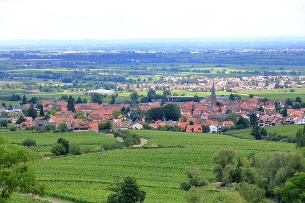 Rhodt, Rietburg, Hainfeld, Burrweiler, Weyher, Edenkoben, Edesheim köylerinin etrafındaki üzüm bağlarının manzarası.