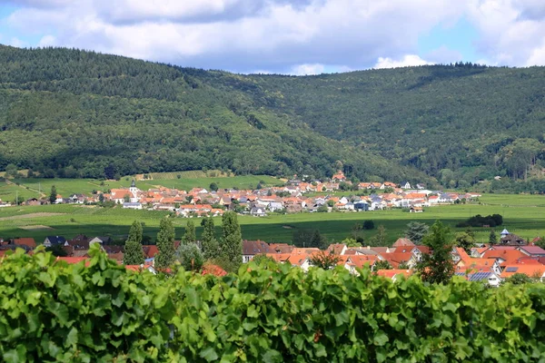 Vista Das Vinhas Redor Das Aldeias Rhodt Unter Rietburg Hainfeld — Fotografia de Stock