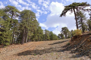 Kayak yazın kaldırır. Yazın teleferik kablosu istasyonu. Kıbrıs 'taki Troodos Dağları