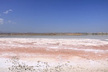 Kıbrıs 'ta Larnaka' daki güzel Salt Lake. Doğal arka plan. Peyzaj