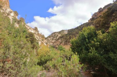 Dik kayalar ve dipte nehirle Avakas Geçidi 'nin manzarası. Akamas Yarımadası, Kıbrıs.