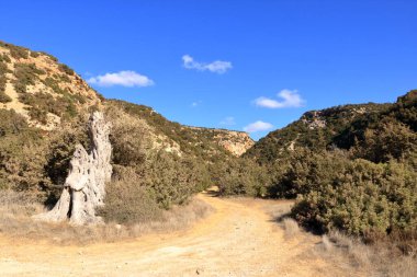 Dik kayalar ve dipte nehirle Avakas Geçidi 'nin manzarası. Akamas Yarımadası, Kıbrıs.
