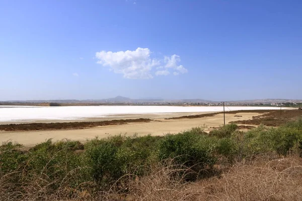 Schöner Salzsee Larnaka Auf Zypern Natürlicher Hintergrund Landschaft — Stockfoto