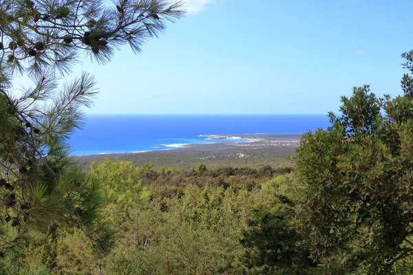 Vista Panorâmica Para Água Cristal Praia Lara Perto Paphos Chipre — Fotografia de Stock