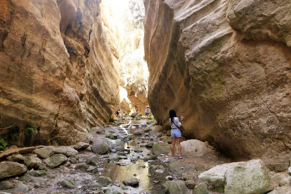 Вид Ущелье Авакас Крутыми Скалами Рекой Дне Акамас Кипр — стоковое фото