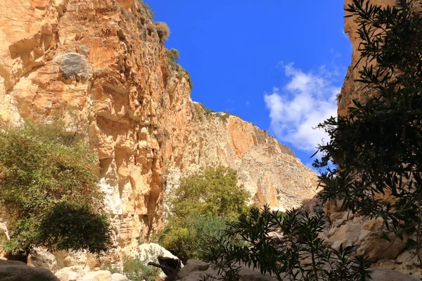 아래에 가파른 바위와 모습이 입니다 키프로스의 아카마스 — 스톡 사진