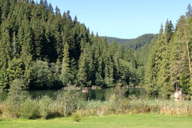 Lacu Rosu, Kızıl Göl, sonbaharın başlarında, Romanya 'nın Harghita ilçesinde, Transilvanya' da,