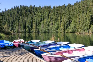 Lacu Rosu, Kızıl Göl, sonbaharın başlarında, Romanya 'nın Harghita ilçesinde, Transilvanya' da,
