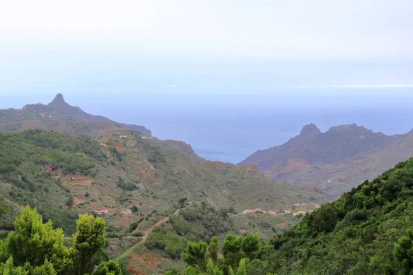 Tropical Mountains Anaga Rural Park Τενερίφη Στις Καναρίους Νήσους — Φωτογραφία Αρχείου