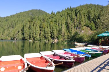 Lacu Rosu, Kızıl Göl, sonbaharın başlarında, Romanya 'nın Harghita ilçesinde, Transilvanya' da,