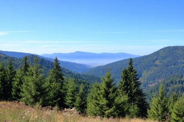 Yeşil dağ ve bulutlu gökyüzü manzarası Transilvanya. Lacu Rosu, Romanya 'nın Cheile Bicazului ve Ceahlau Dağları yakınlarındaki popüler bir seyahat beldesi.