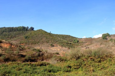 Kanarya Adası Tenerife 'deki Teno Dağları' ndaki vadi Masca 'nın manzara ve doğa fotoğrafçılığı