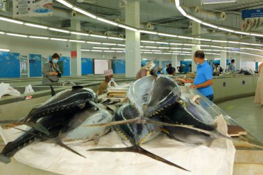 16 Mart 2022 - Muscat, Umman: Muscat Mutrah balık pazarı. İslam ülkesinde erkekler çok çalışkan oluyor.