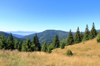 Yeşil dağ ve bulutlu gökyüzü manzarası Transilvanya. Lacu Rosu, Romanya 'nın Cheile Bicazului ve Ceahlau Dağları yakınlarındaki popüler bir seyahat beldesi.