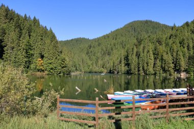 Lacu Rosu, Kızıl Göl, sonbaharın başlarında, Romanya 'nın Harghita ilçesinde, Transilvanya' da,