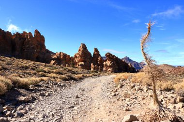 Tenerife adasındaki Teide Ulusal Parkı, lav tarlaları ve Teide volkanı