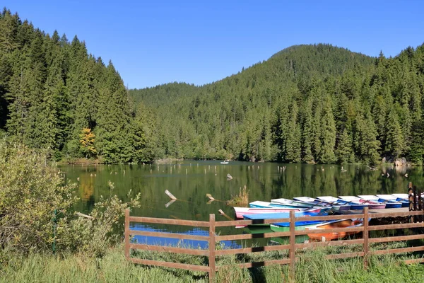 Lacu Rosu, Kızıl Göl, sonbaharın başlarında, Romanya 'nın Harghita ilçesinde, Transilvanya' da,