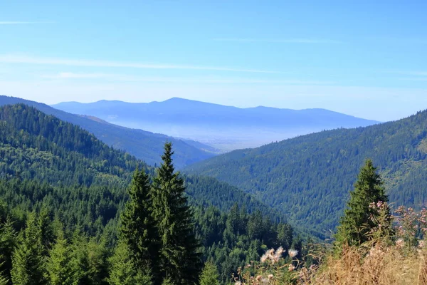 Zelená Hora Zatažená Obloha Transylvánie Lacu Rosu Oblíbenou Destinací Pro — Stock fotografie