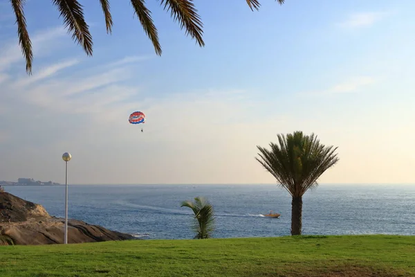 Fallschirmspringer Und Passagier Tandem Fallschirm Nähern Sich Dem Tropischen Palmenstrand — Stockfoto