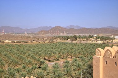 Fort Jabreen Kalesi Umman 'daki güzel tarihi şato, palmiye ağaçları manzaralı.