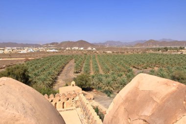 Fort Jabreen Kalesi Umman 'daki güzel tarihi şato, palmiye ağaçları manzaralı.