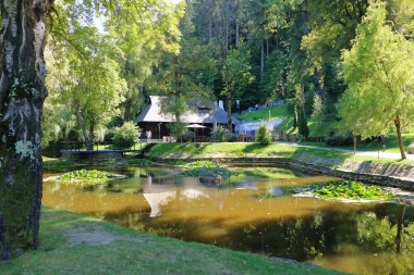 Romanya 'daki kepek şatosunun önündeki güzel bahçe manzarası