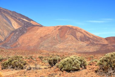 Tenerife adasındaki Teide Ulusal Parkı, lav tarlaları ve Teide volkanı