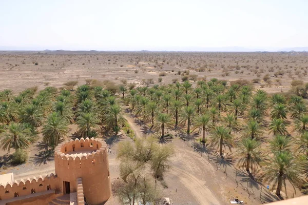 Fort Jabreen Castle Beautiful Historic Castle Oman Palm Trees View — стокове фото