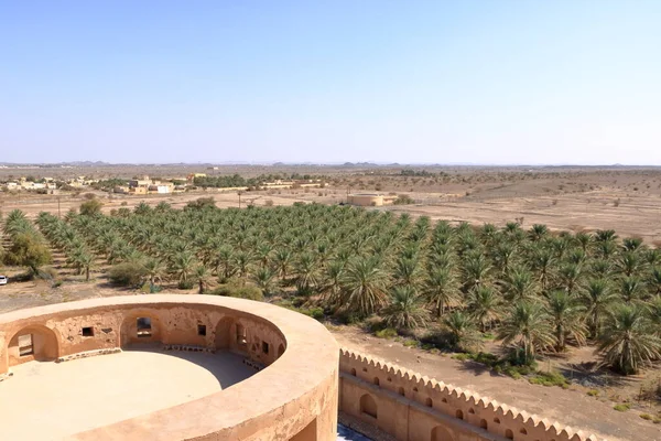 Fort Jabreen Castle Beautiful Historic Castle Oman Palm Trees View — Stok Foto