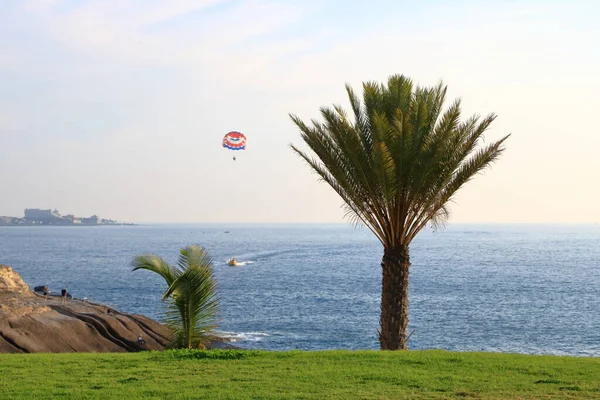 Fallschirmspringer Und Passagier Tandem Fallschirm Nähern Sich Dem Tropischen Palmenstrand — Stockfoto