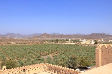 the Fort Jabreen Castle beautiful historic castle in Oman, with palm trees view