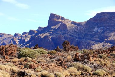 Tenerife adasındaki Teide Ulusal Parkı, lav tarlaları ve Teide volkanı