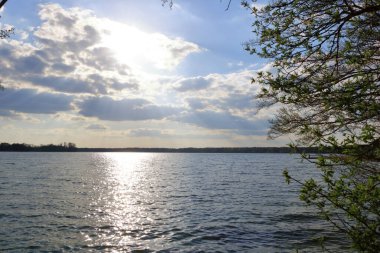 Almanya 'da Brandenburg, Wandlitz' de küçük bir göl kıyısında sazlıklar var.