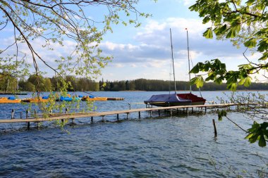 Almanya 'da Brandenburg, Wandlitz' de küçük bir göl kıyısında sazlıklar var.