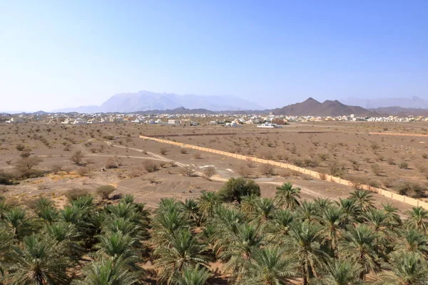 Fort Jabreen Castle Beautiful Historic Castle Oman Palm Trees View — стокове фото