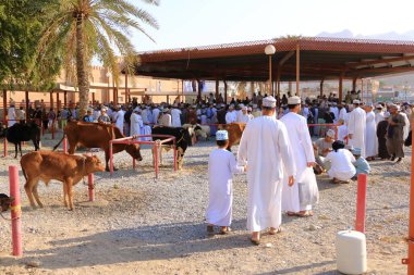 Nizwa, Umman, Aralık 2015: Nizwa keçi pazarında omani adamlar