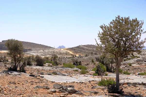 Jebel Shams Dito Ser Desfiladeiro Mais Bonito Mundo Omã — Fotografia de Stock